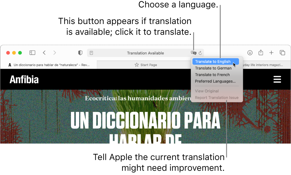 spanish translator for business on mac